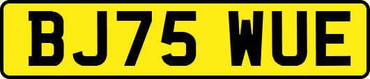 BJ75WUE