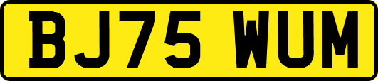 BJ75WUM