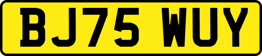 BJ75WUY