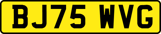 BJ75WVG