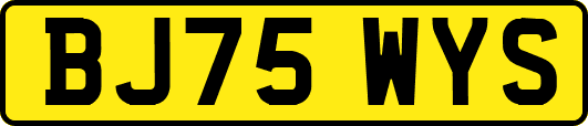 BJ75WYS
