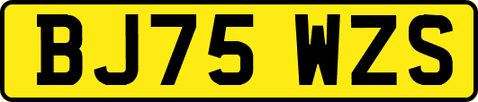BJ75WZS