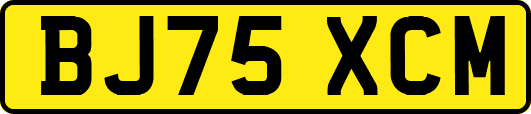 BJ75XCM
