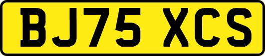 BJ75XCS