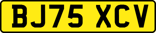 BJ75XCV