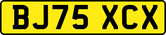 BJ75XCX