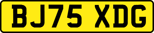 BJ75XDG