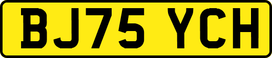 BJ75YCH