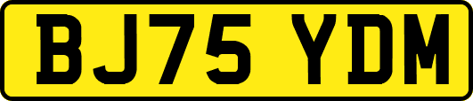 BJ75YDM