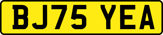 BJ75YEA