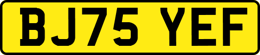 BJ75YEF