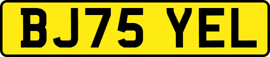 BJ75YEL