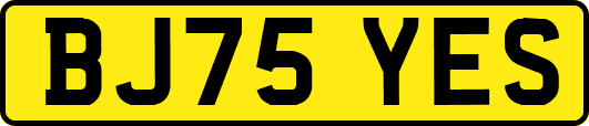BJ75YES