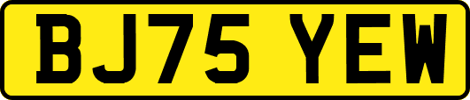 BJ75YEW