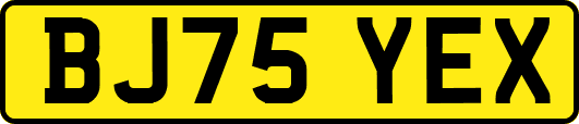 BJ75YEX