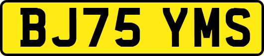 BJ75YMS