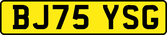BJ75YSG