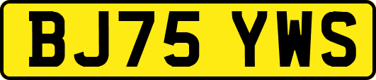 BJ75YWS
