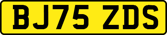 BJ75ZDS