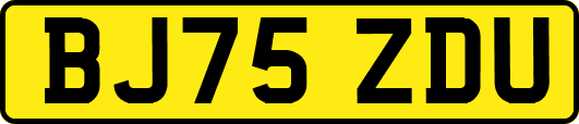 BJ75ZDU