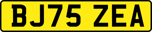 BJ75ZEA