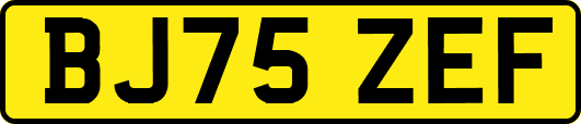 BJ75ZEF
