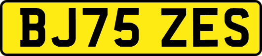BJ75ZES