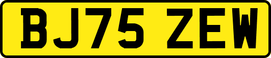 BJ75ZEW