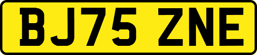 BJ75ZNE