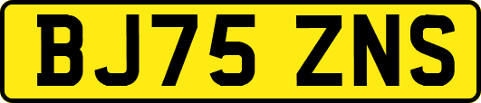 BJ75ZNS
