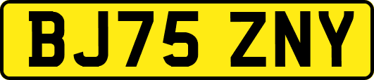 BJ75ZNY
