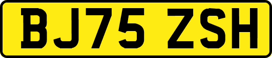 BJ75ZSH