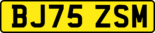 BJ75ZSM