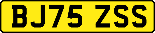 BJ75ZSS