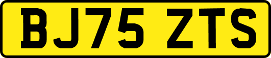 BJ75ZTS