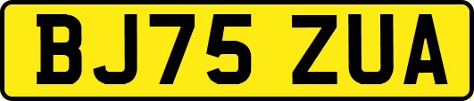 BJ75ZUA