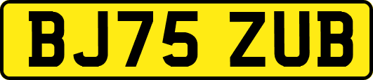 BJ75ZUB