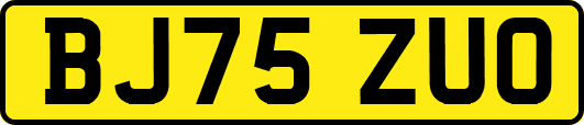 BJ75ZUO