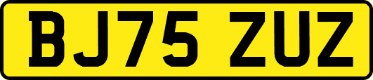 BJ75ZUZ