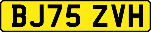 BJ75ZVH