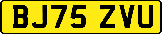 BJ75ZVU