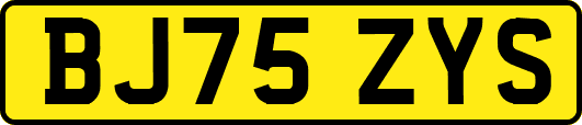 BJ75ZYS