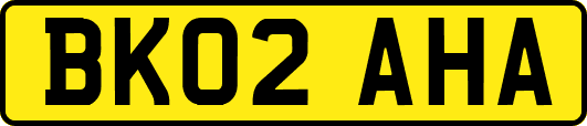BK02AHA