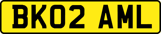 BK02AML