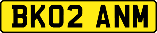 BK02ANM