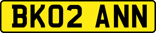 BK02ANN