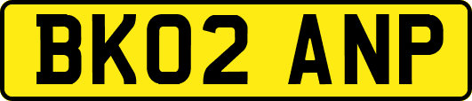 BK02ANP