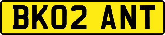 BK02ANT