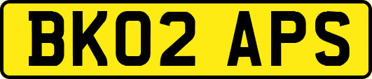 BK02APS
