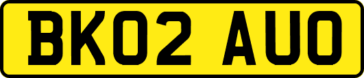 BK02AUO